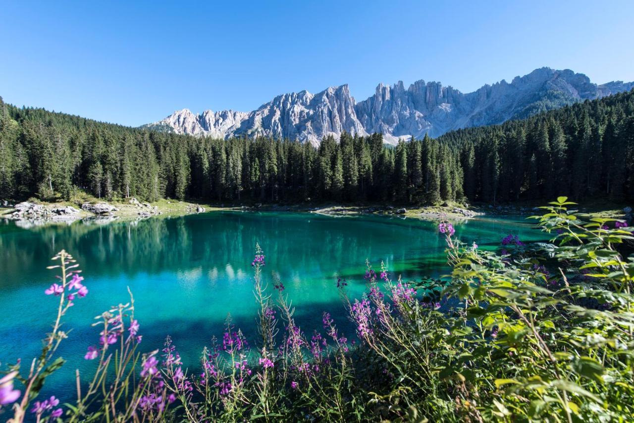 Costalungahouse Trekkingbikeski Selfcheck-In Apartment Carezza al Lago Buitenkant foto